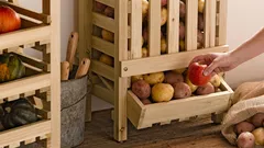 Zemiaky strácajú chuť a mäknú? Tajomstvo skladovania, o ktorom vie len málokto